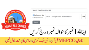 MEPCO Bill