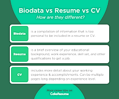 What Is a Biodata