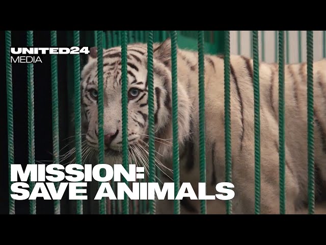 World’s Largest Wildlife Rescue